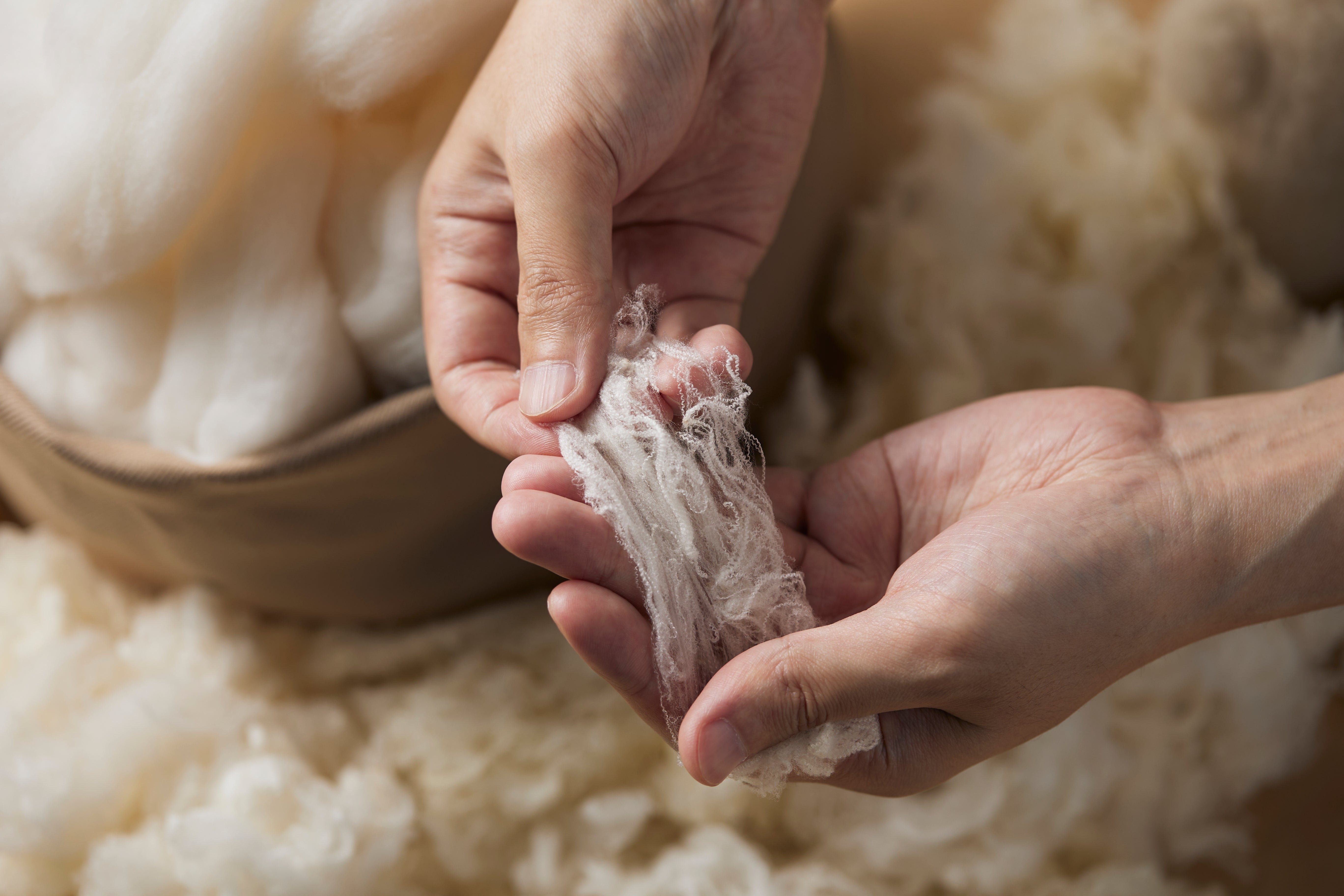 快適さの秘密を知る！ウールとメリノウールの違いとは？ – NIKKE 1896