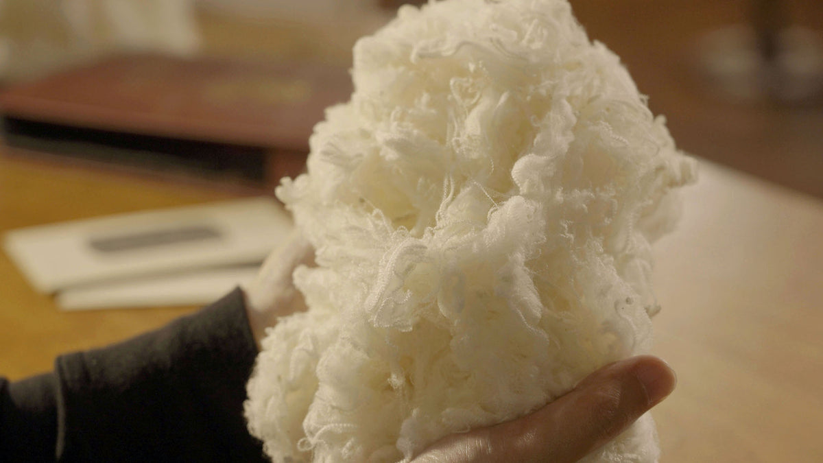 メリノウール『今さら聞けないウールの”種類”完全版』動物の種類から