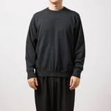 ウルトラファインメリノウール100%クルーネックセーター　15.5μ-Super160's